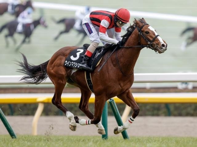 🏇 후쿠시마 경마장